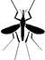 Mosquito